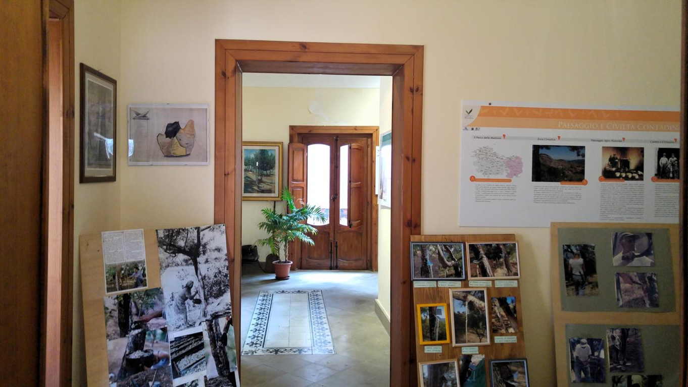 Museo del Maná - Paneles explicativos e imágenes recolección del maná